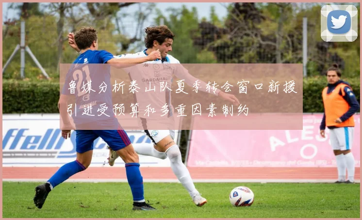 鲁媒分析泰山队夏季转会窗口新援引进受预算和多重因素制约